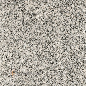 Asia 1st grade tile Granite model