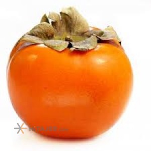Astara persimmon