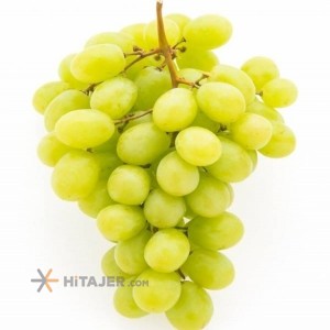 Shiraz rish baba yellow grape with seed