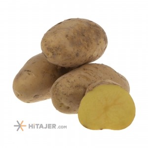 Hamedan bamba seed potato