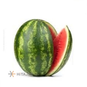 Dezfol round watermelon