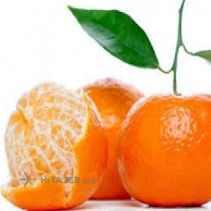 Mazandaran Tangerine