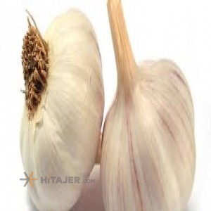 Hamedan super dried garlic bulb