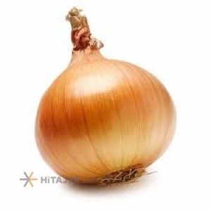 Khorram Abad yellow onion