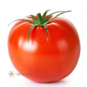 Kourdeh 8320 seed tomato