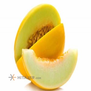 Kourdeh persian melon