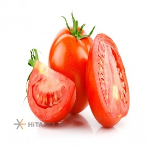 گوجه فرنگی بذر 8320 همدان