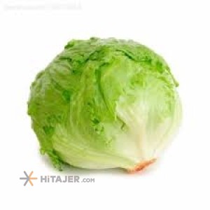 Karaj iceberg lettuce