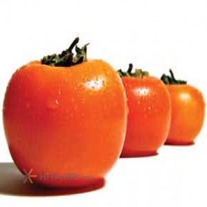 Gorgan persimmon