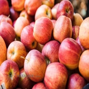Urmia red apple  Iran Export Market
