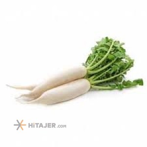 ترب سفید بدون برگ اراک