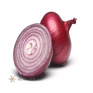 Bonab red onion  Iran Export Market