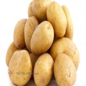 سیب زمینی بذر جیلی همدان