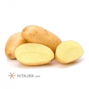 سیب زمینی بذر آگریا رفسنجان