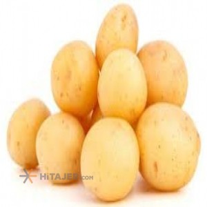 Hamedan bamba seed potato