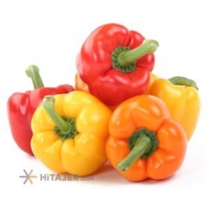 فلفل دلمه رنگی شهرضا