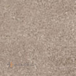 Tabriz tile model D238