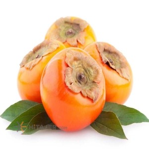 Astara persimmon
