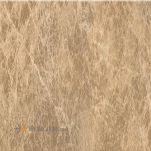 کاشی سینا مدل سنیور