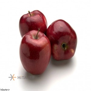 Oshnavieh red apple  Iran Export Market