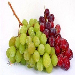 Orumiyeh Seedless yellow and red grapes