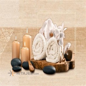 کاشی دکور سینا مدل رابینسون