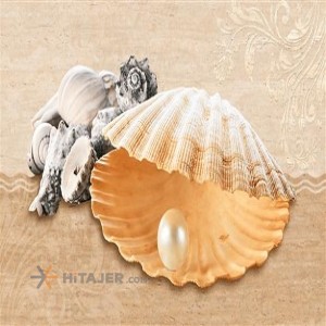 کاشی صدف دکور مدل رابینسون