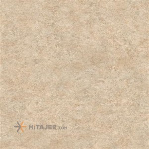 Sina Tile Dark Cream India model