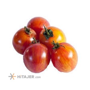 Qazvin tomato