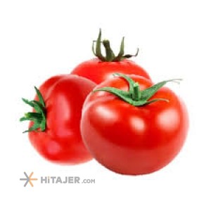 Bushehr afra seed tomato