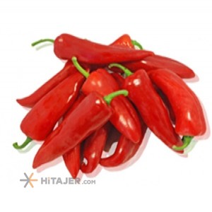 Tehran hot red pepper