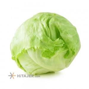 Karaj Green Romaine Lettuce