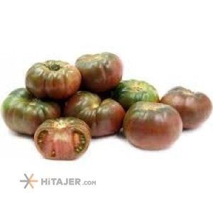 Bushehr Two colors Karun Seed Tomato