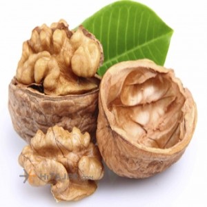 Tuyserkan Sugared walnut