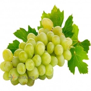 Shiraz Thampson Seedless Yellow Graoed