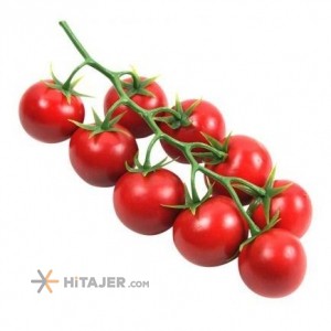 گوجه فرنگی خوشه ای بذر سوگنو کرج