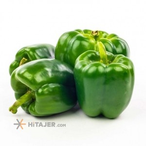 Dezful Green Bell pepper