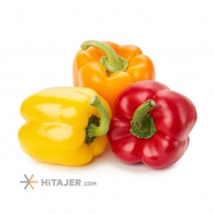 Isfahan color bell pepper