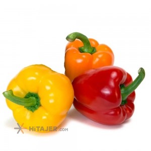 فلفل دلمه ای رنگی رودان