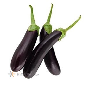 Rudan Eggplant Rudan Eggplant