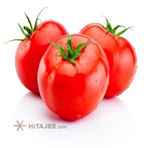Bushehr Tomato Nickerson Seed