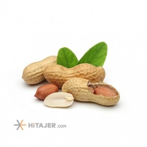 Ardabil peanuts
