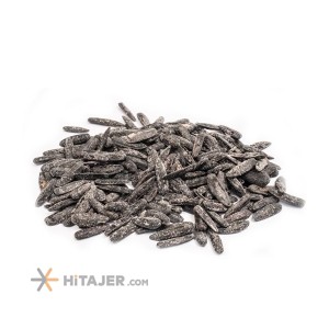 Tabriz Sword Sunflower Seed