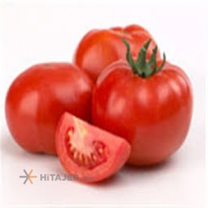 Bushehr Tomato seed 2149