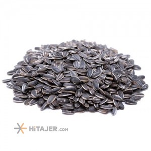 Tabriz Chinese Sunflower Seed