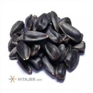 Tabriz Oily Sunflower Seed