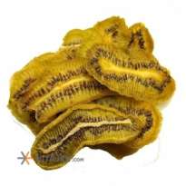 Dried kiwi