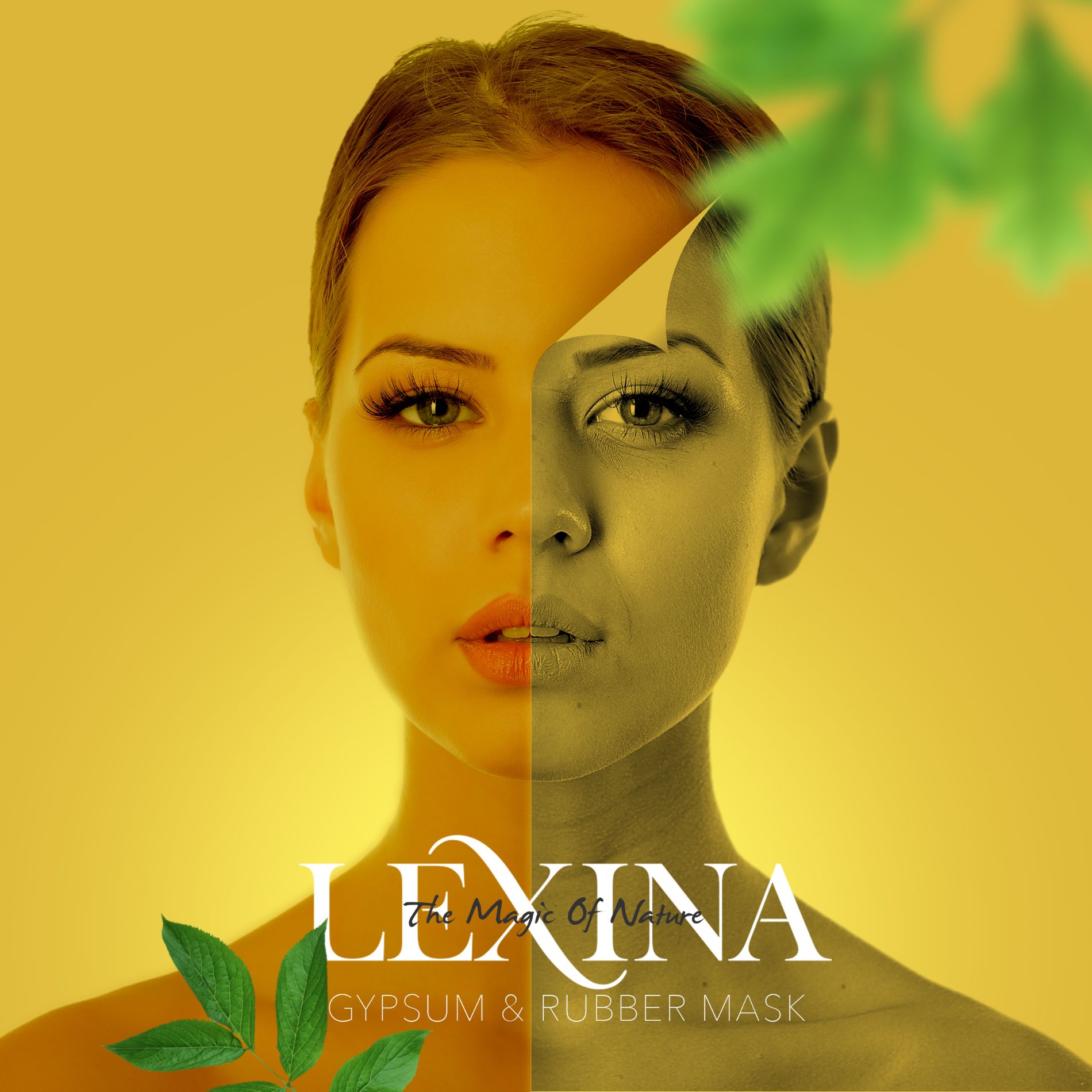 desktop banner lexina