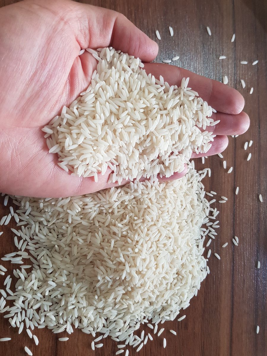 مشخصات، قیمت و خرید برنج طارم هاشمی امین، محصول روستای اندیکلاء بابل مازندران، خوشمزه، خوشپخت، خوش طعم و درجه یک - محصولات غذایی امین