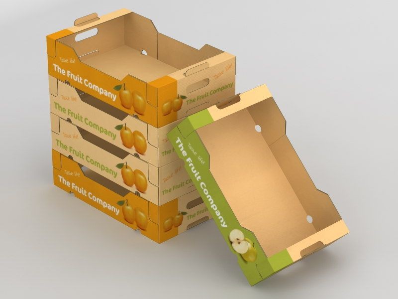 انواع بسته بندی سبزیجات برای صادرات